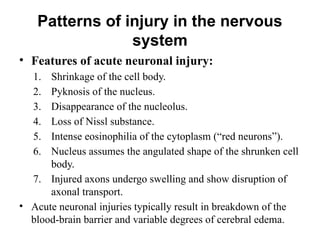 Session 33 Nervous System Pathology.pptx