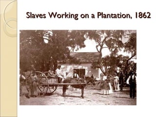 Slaves Working on a Plantation, 1862Slaves Working on a Plantation, 1862
 