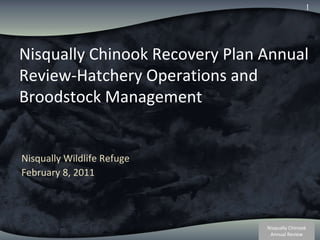 Nisqually Chinook Recovery Plan Annual Review-Hatchery Operations and Broodstock Management Nisqually Wildlife Refuge February 8, 2011 