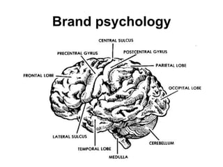 Brand psychology
 