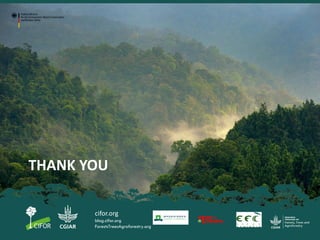 Improving MRV practices – enhancing the role of  communities and improving multi-level collaboration