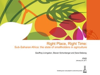 Right Place, Right Time:  Sub-Saharan Africa: the state of smallholders in agriculture Geoffrey Livingston, Steven Schonberger and Sara Delaney IFAD January 24, 2011 