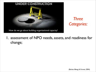 Nonprofit Organizational Capacity Building | PDF