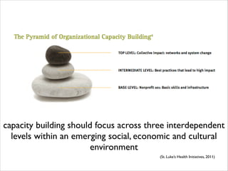Nonprofit Organizational Capacity Building | PDF