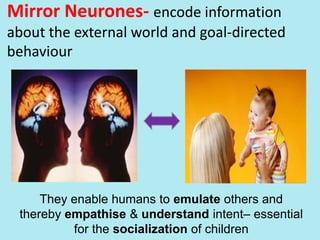 Mirror Neurones- encode information
about the external world and goal-directed
behaviour
They enable humans to emulate others and
thereby empathise & understand intent– essential
for the socialization of children
 