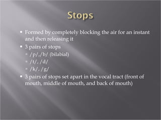 Formed by completely blocking the air for an instant and then releasing it 3 pairs of stops /p/,/b/ (bilabial) /t/, /d/ /k/, /g/ 3 pairs of stops set apart in the vocal tract (front of mouth, middle of mouth, and back of mouth) 