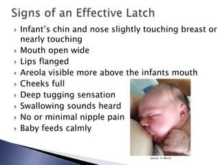 Session 3 from baby to breast -anatomy and physiolgy 2016 | PPT