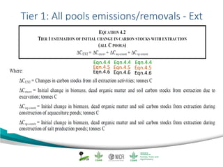 Mangrove emission factors: Navigating chapter 4 - coastal wetlands