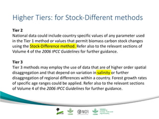 Mangrove emission factors: Navigating chapter 4 - coastal wetlands