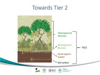 Mangrove emission factors: Navigating chapter 4 - coastal wetlands
