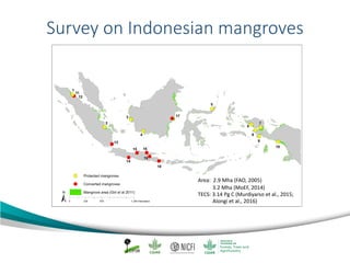 Mangrove emission factors: Navigating chapter 4 - coastal wetlands