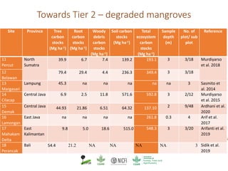 Mangrove emission factors: Navigating chapter 4 - coastal wetlands