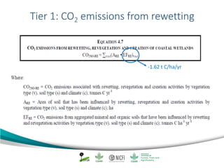 Mangrove emission factors: Navigating chapter 4 - coastal wetlands