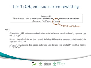 Mangrove emission factors: Navigating chapter 4 - coastal wetlands