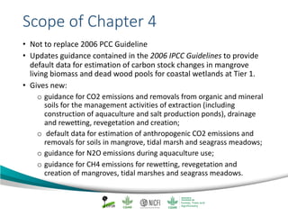 Mangrove emission factors: Navigating chapter 4 - coastal wetlands