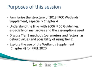 Mangrove emission factors: Navigating chapter 4 - coastal wetlands