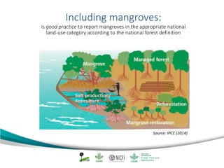 Mangrove emission factors: Navigating chapter 4 - coastal wetlands