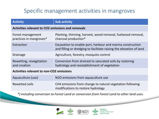 Mangrove emission factors: Navigating chapter 4 - coastal wetlands