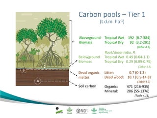 Mangrove emission factors: Navigating chapter 4 - coastal wetlands