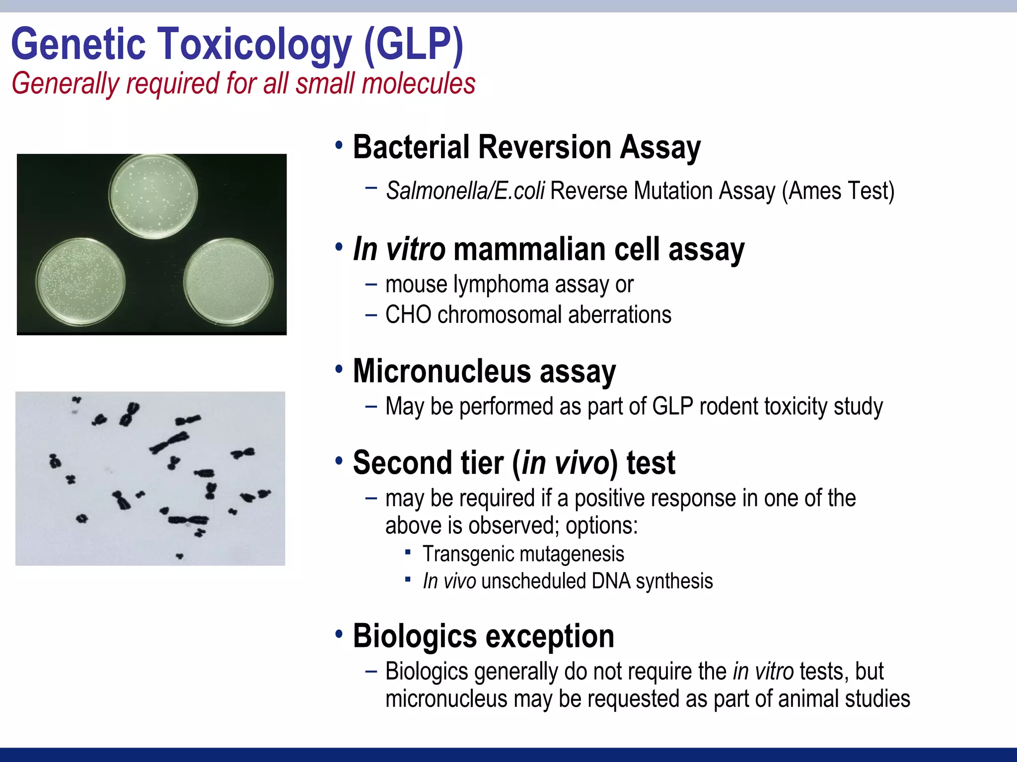 Genetic Toxicology (GLP)
Generally required for all small molecules

                             • Bacterial Reversion Assay
                                – Salmonella/E.coli Reverse Mutation Assay (Ames Test)

                             • In vitro mammalian cell assay
                                – mouse lymphoma assay or
                                – CHO chromosomal aberrations

                             • Micronucleus assay
                                – May be performed as part of GLP rodent toxicity study

                             • Second tier (in vivo) test
                                – may be required if a positive response in one of the
                                  above is observed; options:
                                       Transgenic mutagenesis
                                       In vivo unscheduled DNA synthesis

                             • Biologics exception
                                – Biologics generally do not require the in vitro tests, but
                                  micronucleus may be requested as part of animal studies
 