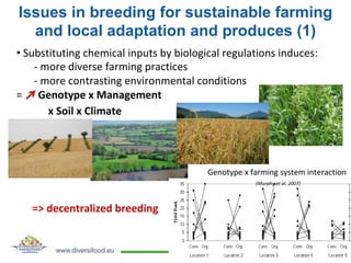DIVERSIFOOD Final Congress - Session 3 - New approaches of plant breeding for diversified and sustainable farming systems -  Isabelle Goldringer