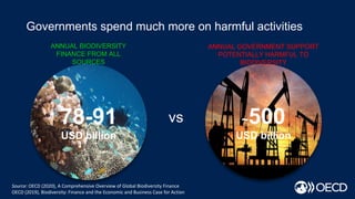 Governments spend much more on harmful activities
78-91
USD billion
~500
USD billion
ANNUAL BIODIVERSITY
FINANCE FROM ALL
SOURCES
ANNUAL GOVERNMENT SUPPORT
POTENTIALLY HARMFUL TO
BIODIVERSITY
vs
Source: OECD (2020), A Comprehensive Overview of Global Biodiversity Finance
OECD (2019), Biodiversity: Finance and the Economic and Business Case for Action
 