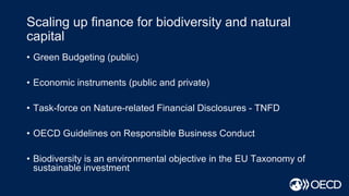 Scaling up finance for biodiversity and natural
capital
• Green Budgeting (public)
• Economic instruments (public and private)
• Task-force on Nature-related Financial Disclosures - TNFD
• OECD Guidelines on Responsible Business Conduct
• Biodiversity is an environmental objective in the EU Taxonomy of
sustainable investment
 