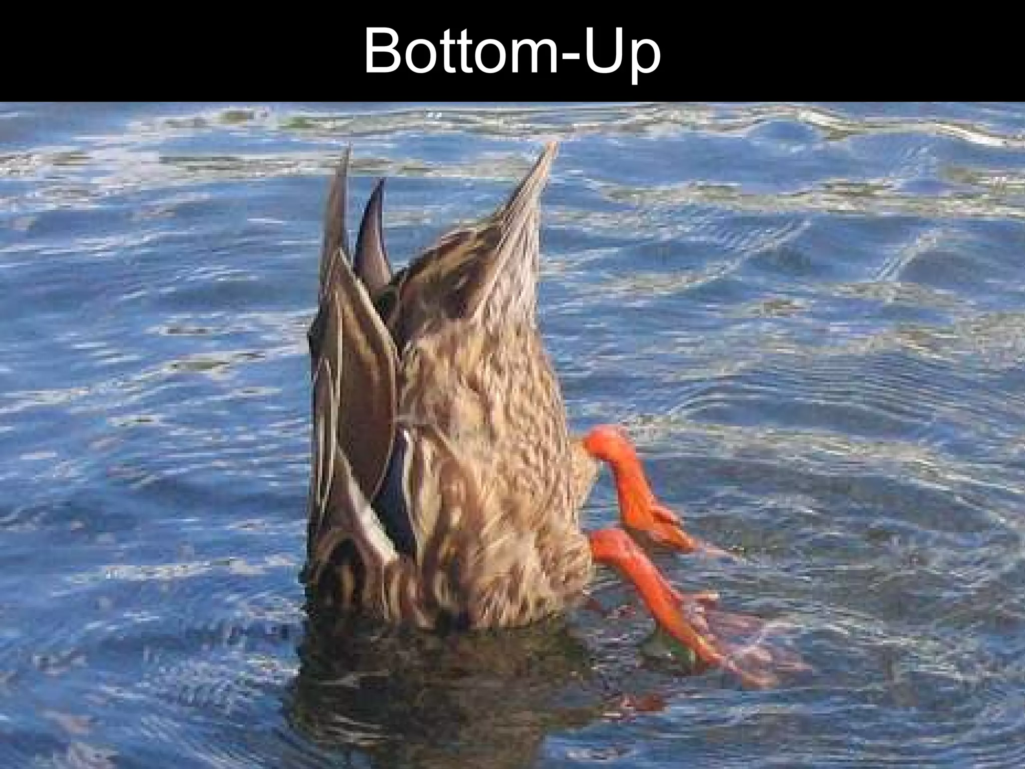 Bottom-Up




            Chris Sparshott (@sparkbouy)
 