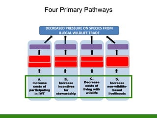 For each pathway…
ENABLING ACTIONS
INTERVENTIONS
OUTPUTS
PRIMARY OUTCOMES
ASSUMPTIONS
ASSUMPTIONS
ASSUMPTIONS
INTERIM OUTC...