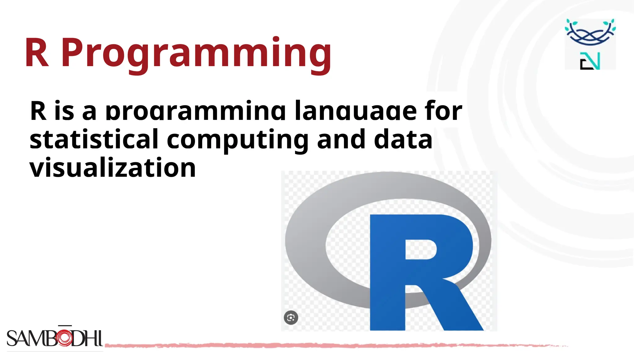 R Programming R is a programming language for statistical computing and data visualization 