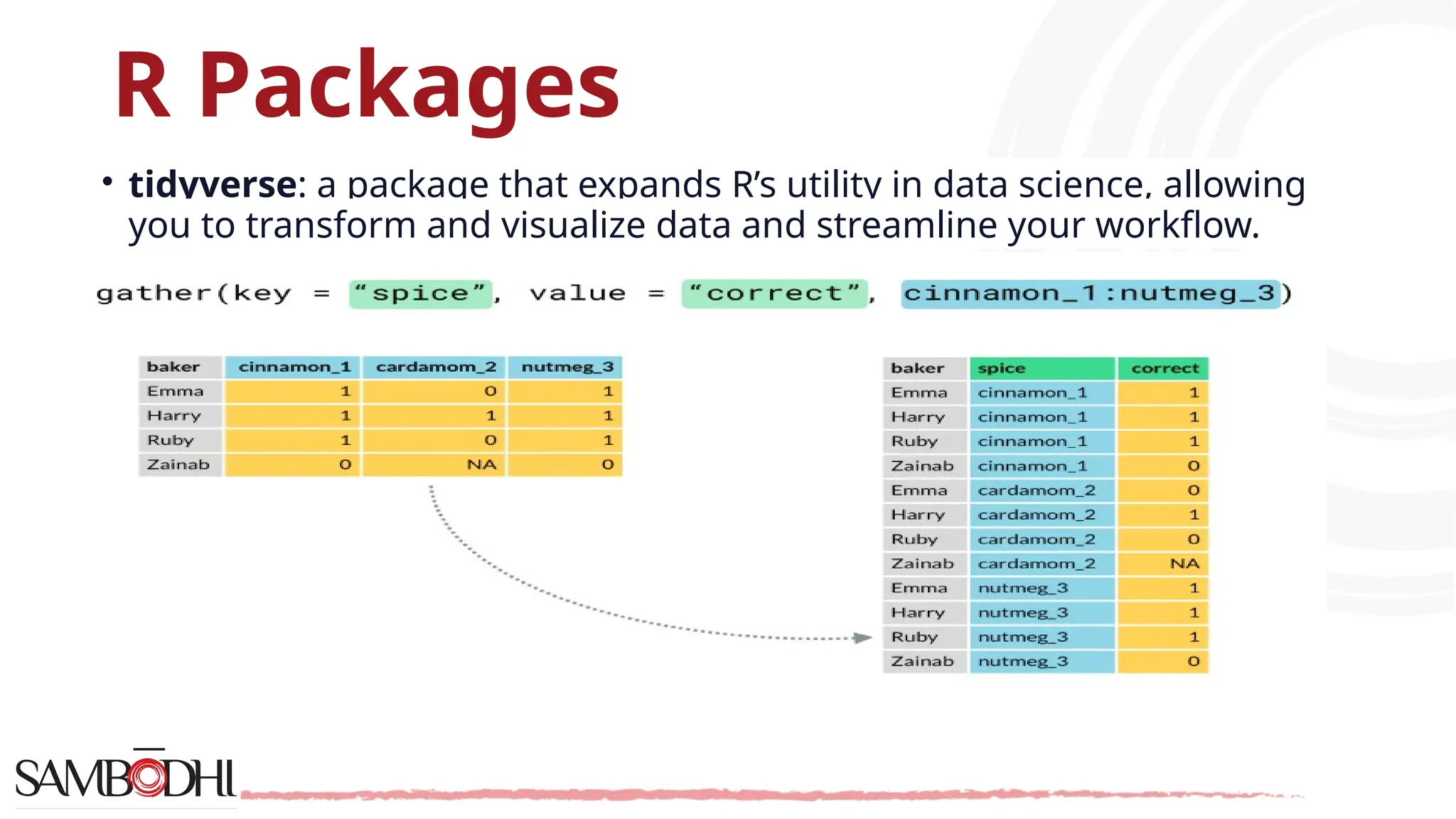 R Packages • tidyverse: a package that expands R’s utility in data science, allowing you to transform and visualize data and streamline your workflow. 