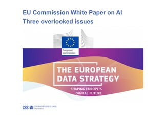 EU Commission White Paper on AI
Three overlooked issues
 