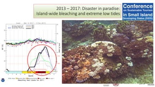2013 – 2017: Disaster in paradise:
Island-wide bleaching and extreme low tides
 