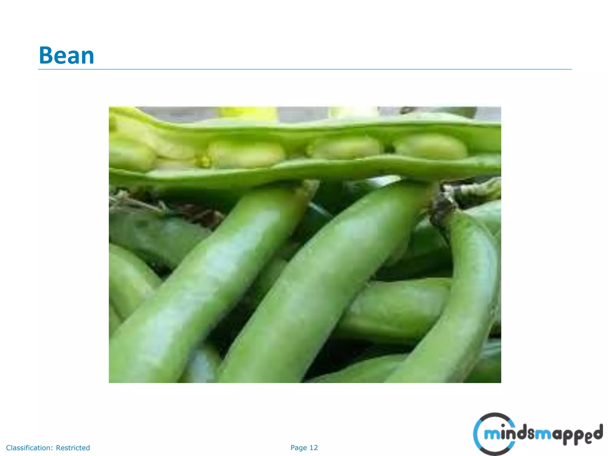 Page 12Classification: Restricted
Bean
 
