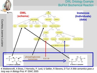 OWL Ontology Example
                                                              BioPAX Biochemical Reaction

                            OWL                                                   Instances
                          (schema)                                              (Individuals)
                                                                                    (data)
Courtesy Joanne Luciano




                               phosphoglucose
                                 isomerase      5.3.1.9




K Wolstencroft, A Brass, I Horrocks, P. Lord, U Sattler, R Stevens, D Turi A little semantics goes a
long way in Biology Proc 4th ISWC 2005
 