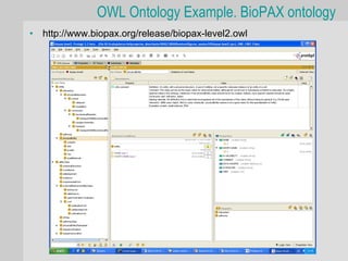 OWL Ontology Example. BioPAX ontology
•   http://www.biopax.org/release/biopax-level2.owl
 