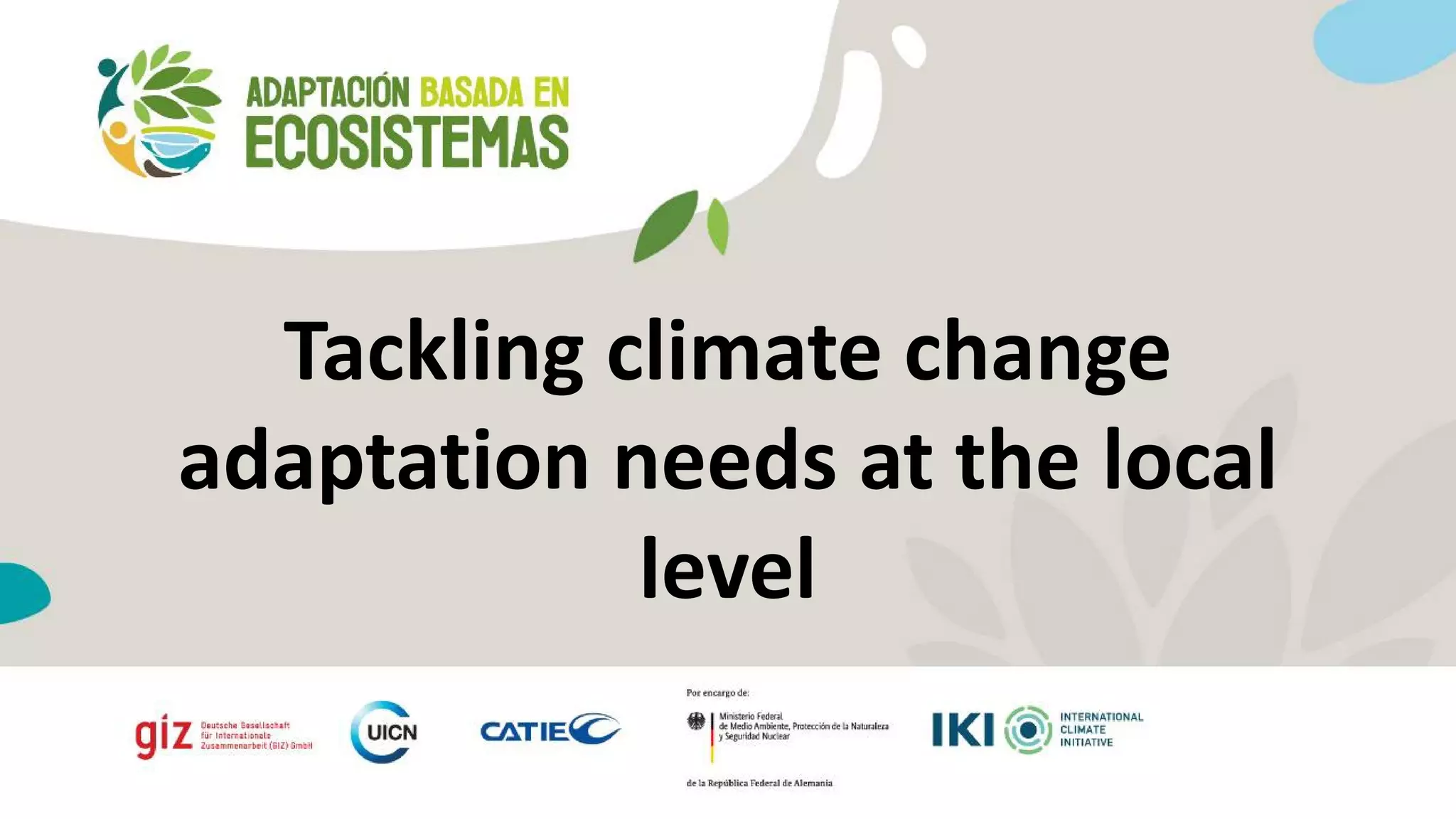 Picture of Session 4: Tackling climate change adaptation needs at the local level ...