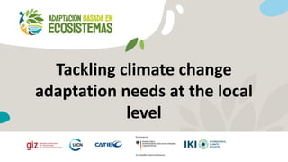 Tackling climate change
adaptation needs at the local
level
 