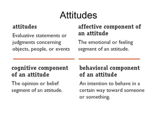 Attitudes 