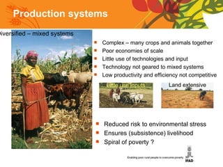 Production systems Diversified – mixed systems Complex – many crops and animals together Poor economies of scale Little use of technologies and input Technology not geared to mixed systems Low productivity and efficiency not competitive Reduced risk to environmental stress Ensures (subsistence) livelihood Spiral of poverty ? Land extensive  Little use inputs 