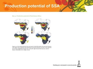 Production potential of SSA 