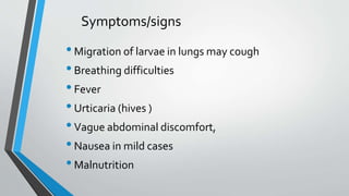 •Migration of larvae in lungs may cough
•Breathing difficulties
•Fever
•Urticaria (hives )
•Vague abdominal discomfort,
•Nausea in mild cases
•Malnutrition
Symptoms/signs
 