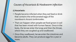 Causes of Ascariasis & Hookworm infection
(i) Ascariasis:
• People become infected when they eat food or drink
that contains the embryonated eggs of the
roundworm Ascaris lumbricoides.
• That can happen when people eat food grown in soil
that has been mixed with human faeces. Once in the
body, the larvae enter the lungs and then the throat,
where they are coughed up and swallowed.
• Once they swallowed, larvae enter the intestines and
become adults.They can produce eggs for a year or
more.
 