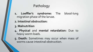 Pathology
1. Loeffler’s syndrome: The blood-lung
migration phase of the larvae.
2. Intestinal obstruction:
3. Malnutrition
4. Physical and mental retardation: Due to
heavy worm loads.
5. Death: Sometimes may occur when mass of
worms cause intestinal obstruction.
 