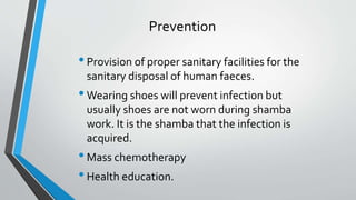 Prevention
•Provision of proper sanitary facilities for the
sanitary disposal of human faeces.
•Wearing shoes will prevent infection but
usually shoes are not worn during shamba
work. It is the shamba that the infection is
acquired.
•Mass chemotherapy
•Health education.
 