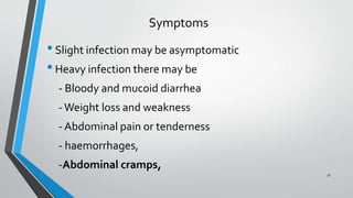 31
Symptoms
•Slight infection may be asymptomatic
•Heavy infection there may be
- Bloody and mucoid diarrhea
-Weight loss and weakness
- Abdominal pain or tenderness
- haemorrhages,
-Abdominal cramps,
 