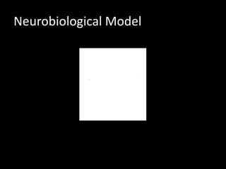 Neurobiological Model
 