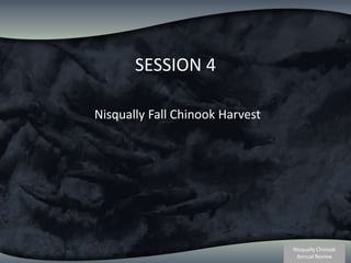 SESSION 4 Nisqually Fall Chinook Harvest 