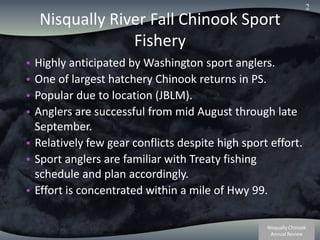 Nisqually River Fall Chinook Sport FisheryHighly anticipated by Washington sport anglers. One of largest hatchery Chinook returns in PS. Popular due to location (JBLM).Anglers are successful from mid August through late September.  Relatively few gear conflicts despite high sport effort. Sport anglers are familiar with Treaty fishing schedule and plan accordingly.  Effort is concentrated within a mile of Hwy 99.2