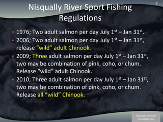 Nisqually River Sport Fishing Regulations 1976; Two adult salmon per day July 1st – Jan 31st. 2006; Two adult salmon per day July 1st – Jan 31st, release “wild” adult Chinook.  2009; Three adult salmon per day July 1st – Jan 31st, two may be combination of pink, coho, or chum.  Release “wild” adult Chinook. 2010; Three adult salmon per day July 1st – Jan 31st, two may be combination of pink, coho, or chum.  Release all “wild” Chinook. 3